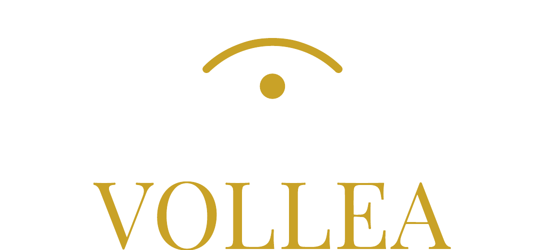 VOLLEA 